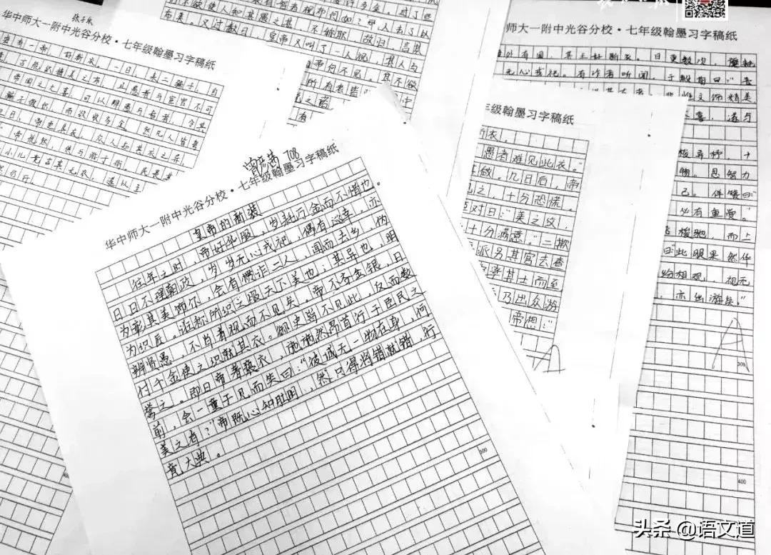 感受中国文化的魅力,感受中国传统文化之美英文