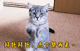 rng小虎喊麦,rng小虎最新事件