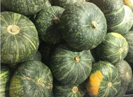 鍘熶骇鑷棩鏈殑姘存灉,鍘熶骇鏃ユ湰澶х背10鍏枻