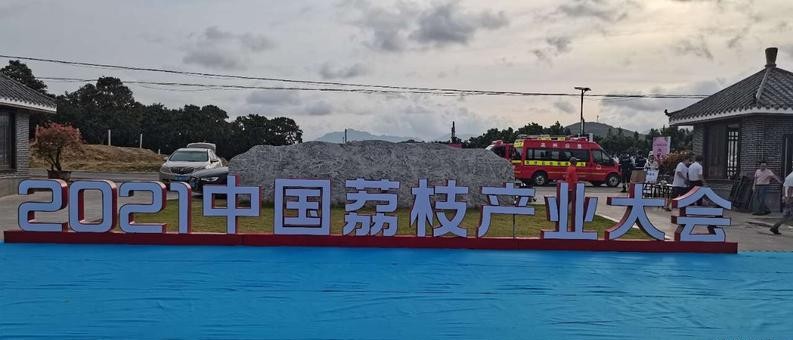 茂名荔枝的前世今生，果大肉脆汁多清甜，最好吃的还是桂味荔枝