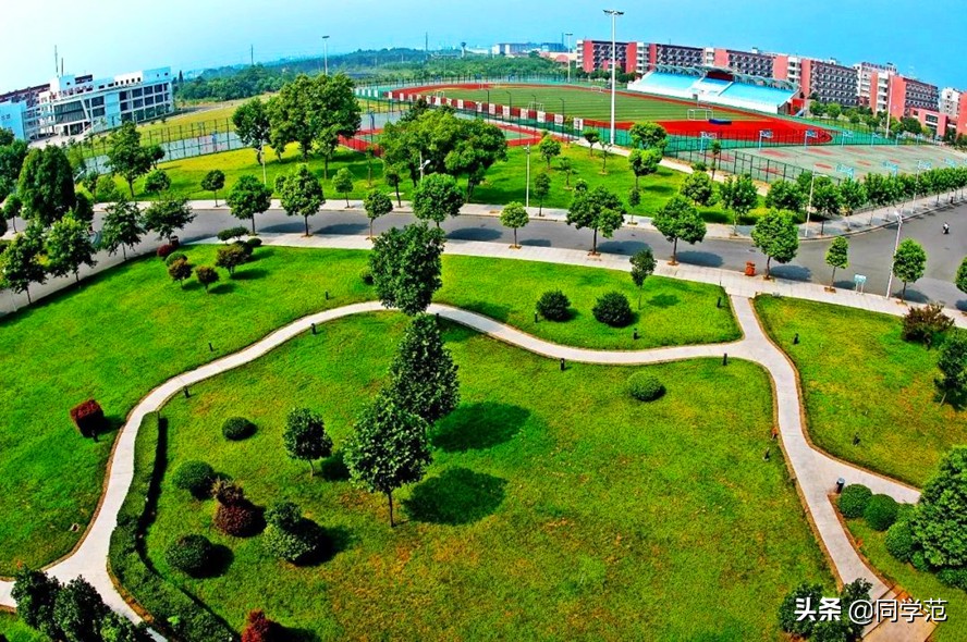 浙江十大高职学校排名,这五所985大学实力强劲