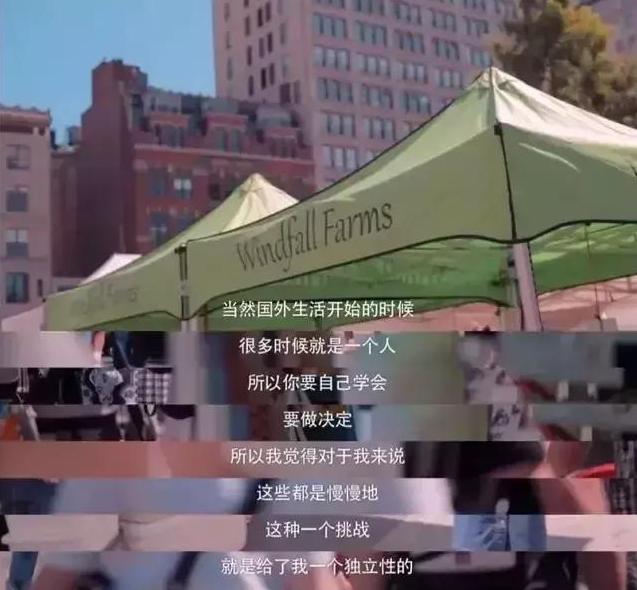 刘雯的经历,刘雯经历