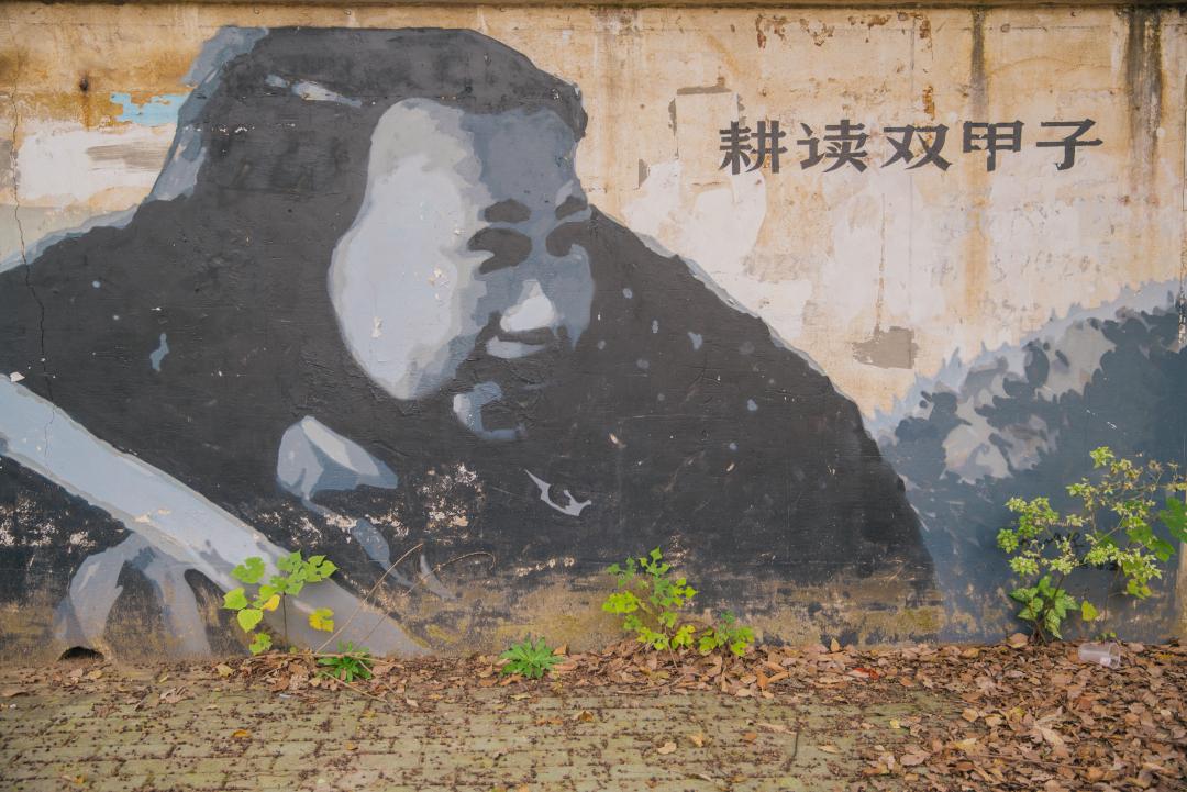 又是全国第一!华中农业大学,全体武汉人的骄傲