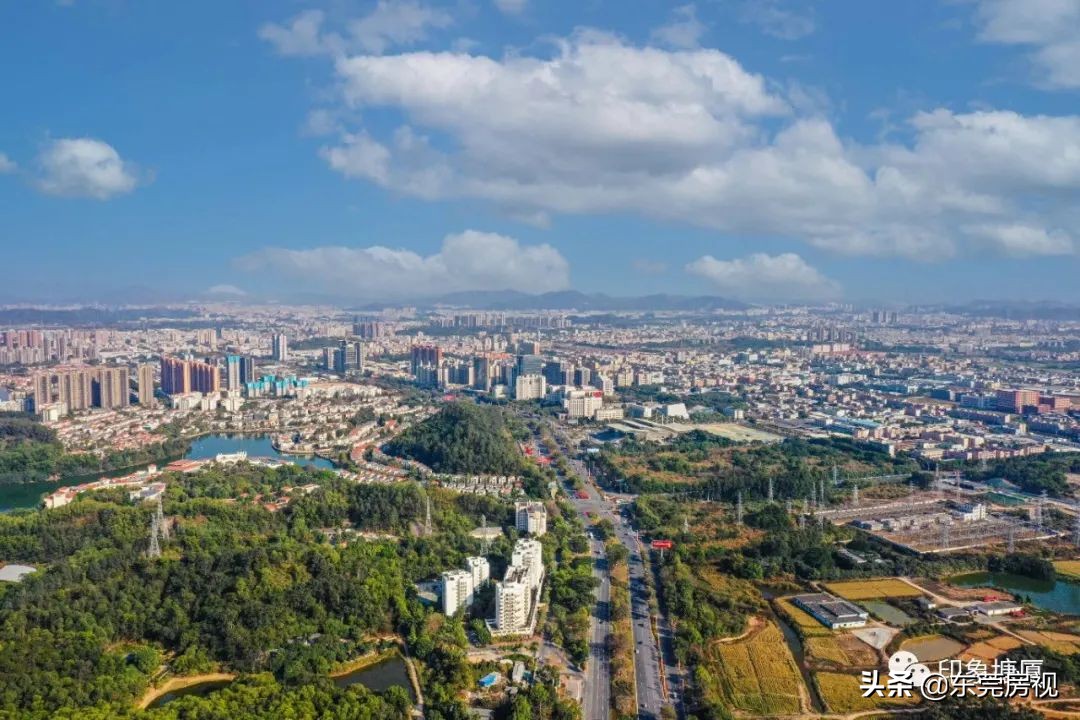 塘厦正在悄悄突围，然后惊艳所有人