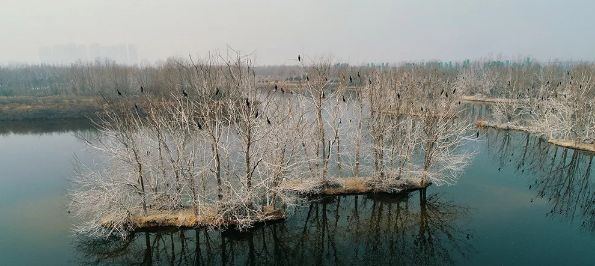 陕西浐灞区,陕西浐灞