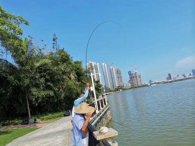 冬天筏竿钓土鲮,筏竿钓大土鲮