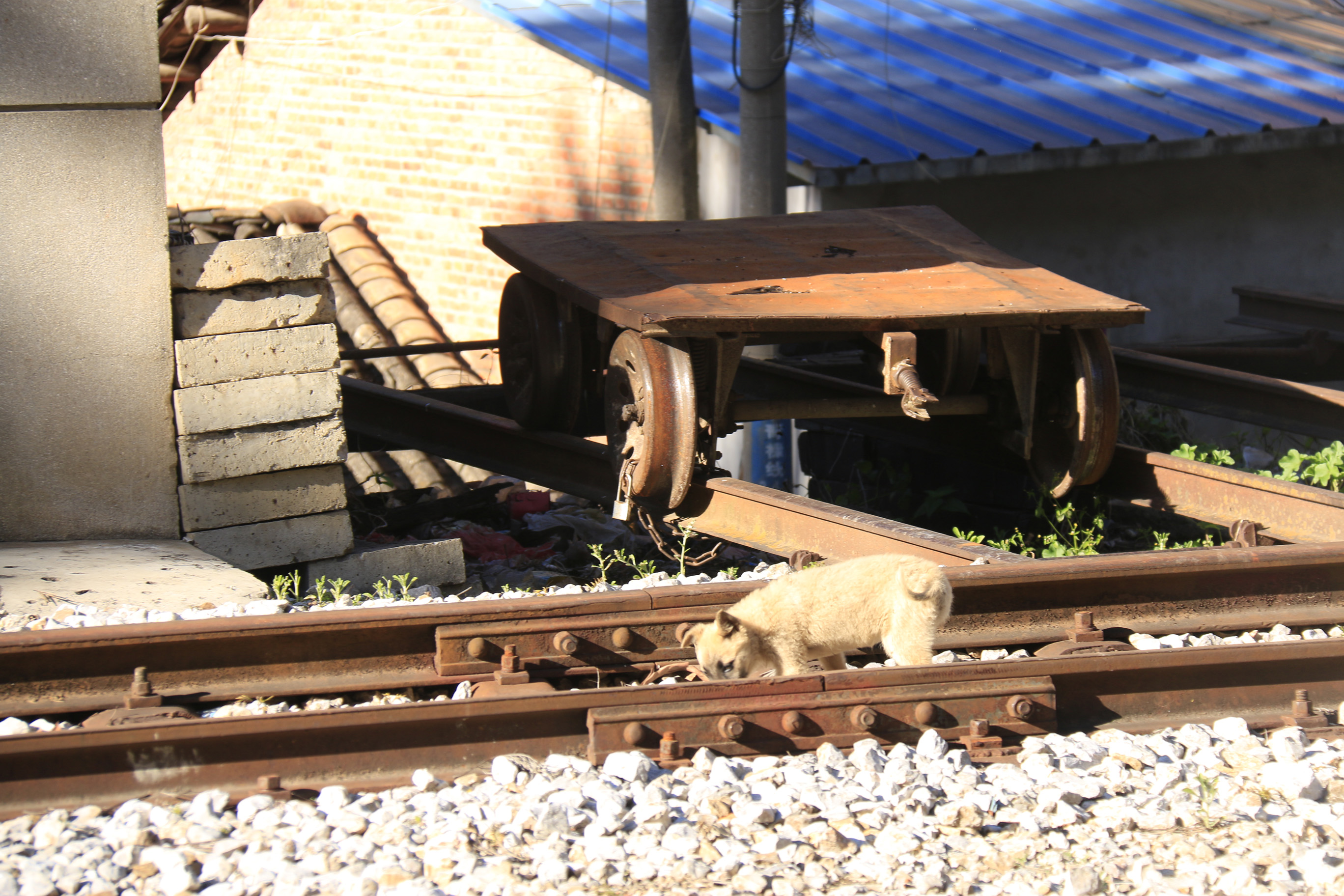 粮食局与测绘局的故事小说,粮食局仓储知识