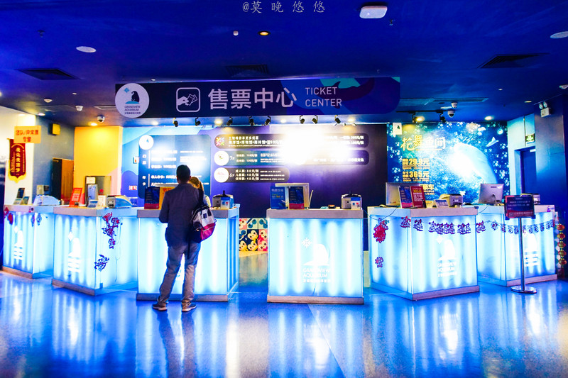 海洋极地海洋世界攻略,正佳极地海洋世界白鲸海象