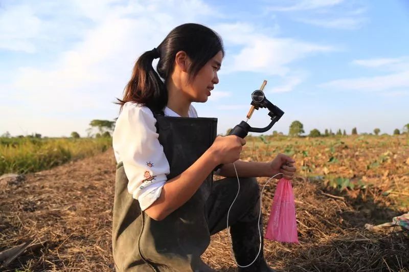昨晚，10万个直播间彻夜不眠
