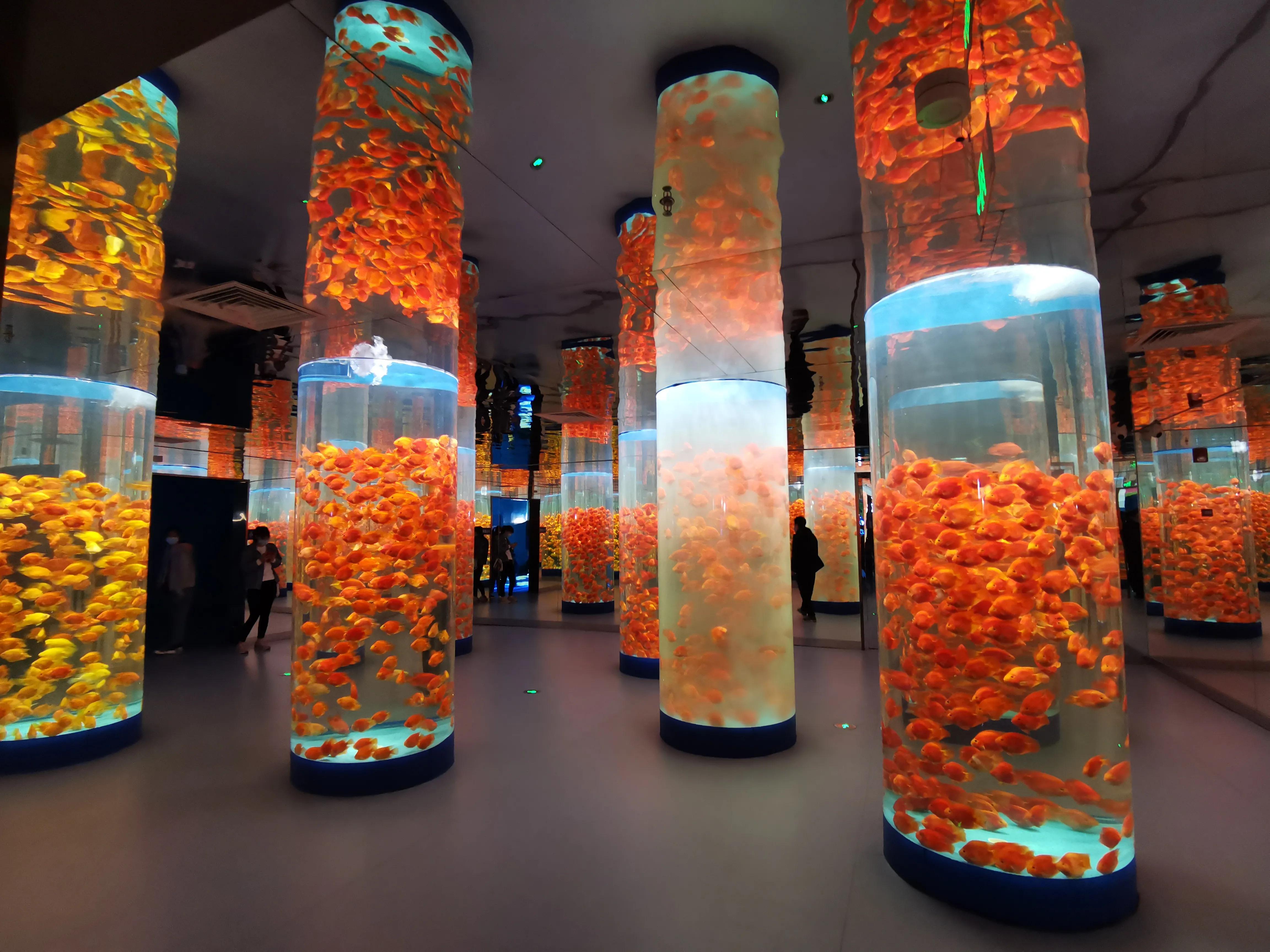 璧拌繘娴锋磱鍔ㄧ墿娴峰簳涓栫晫,鍙傝娴峰簳涓栫晫娴锋磱鍔ㄧ墿瑙嗛