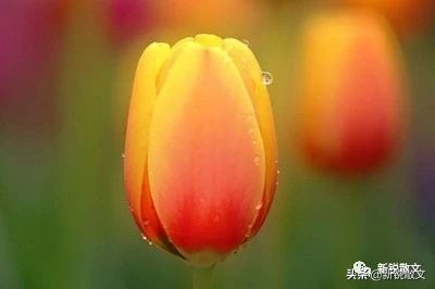 学词随笔:歌词写多了,感觉越写越难,不敢轻易出手