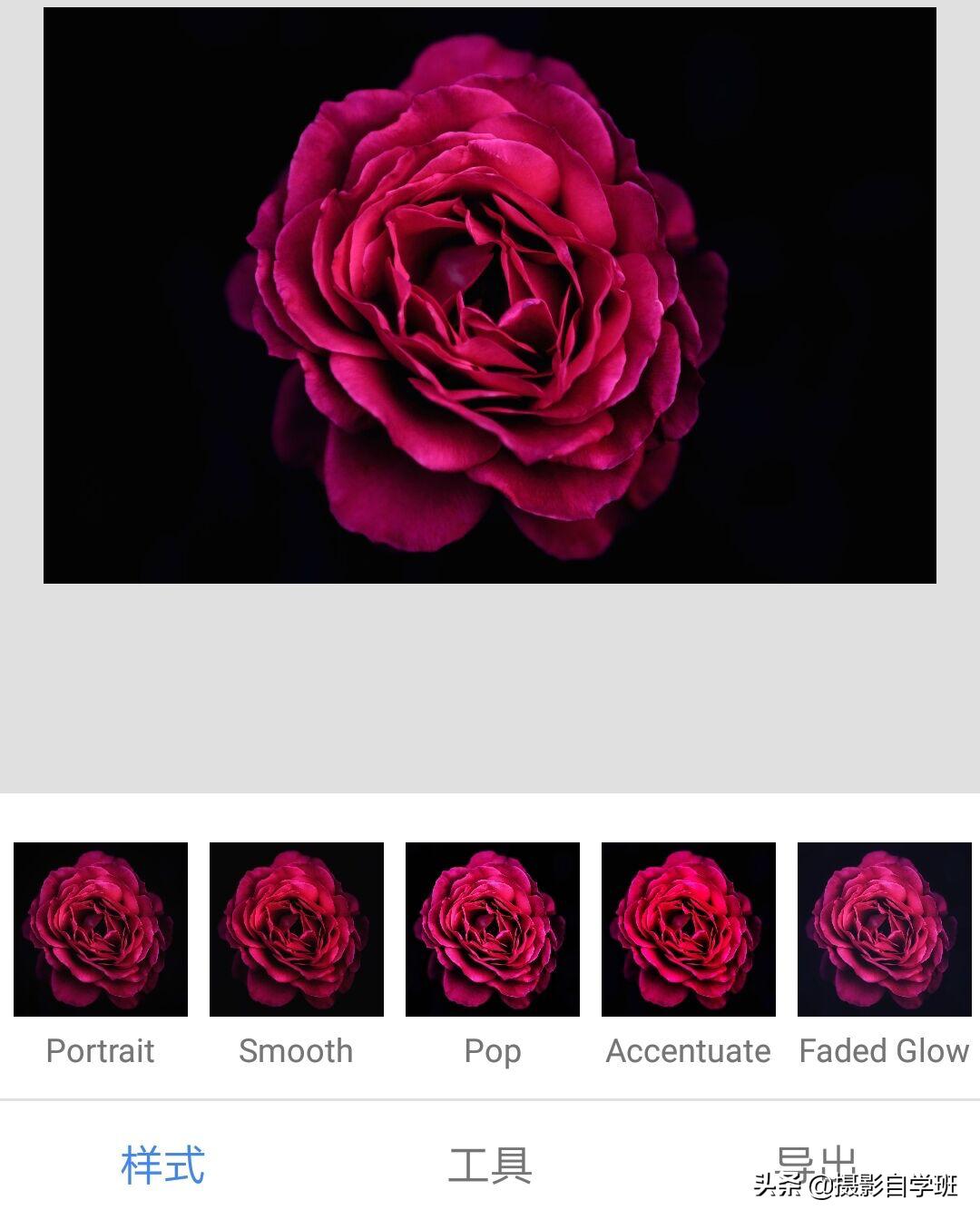 拍春天花的摄影技巧,拍美花草学这9个摄影技巧