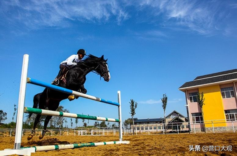 在哪体验奥运项目,营口游玩怎么玩