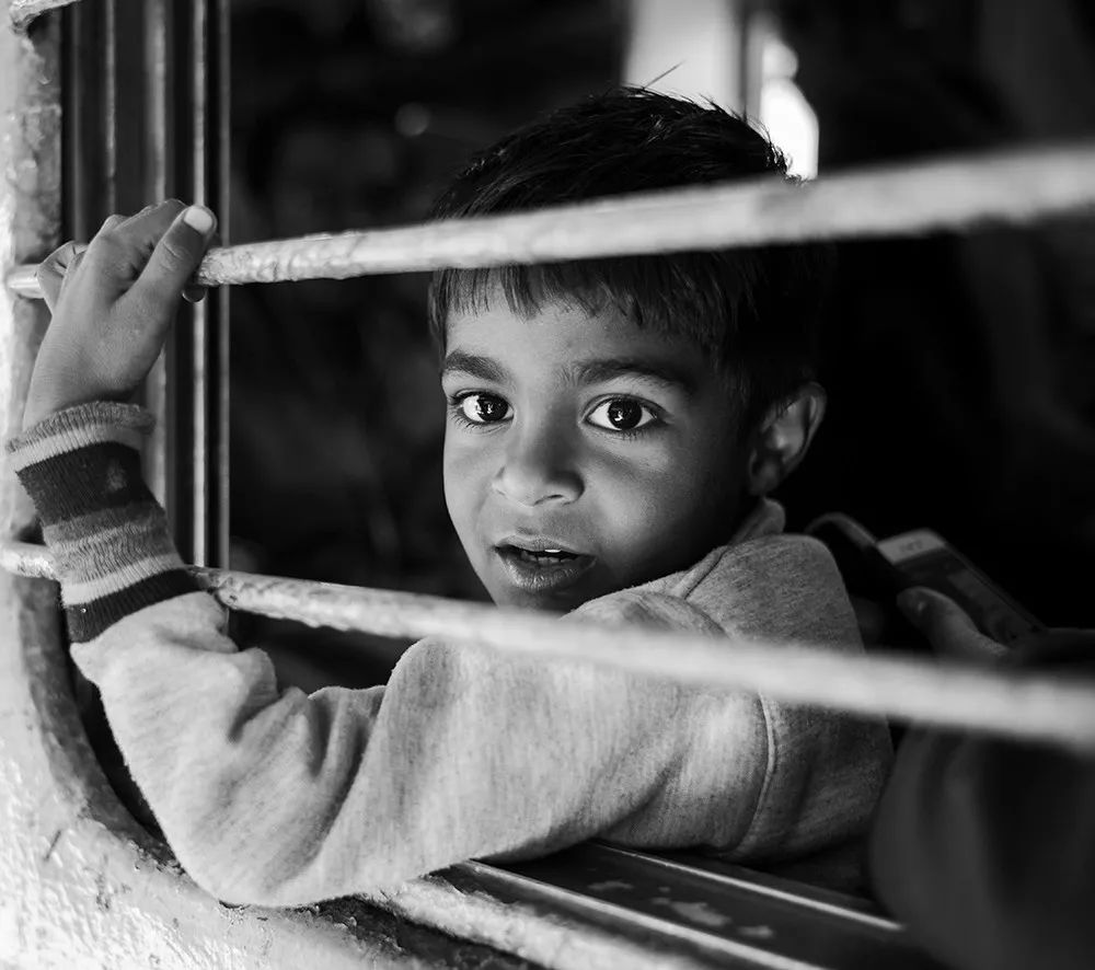 王员外图片,王员外摄影剪辑