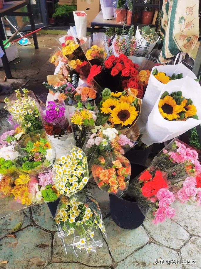 2元花盆批发,2元左右的花盆