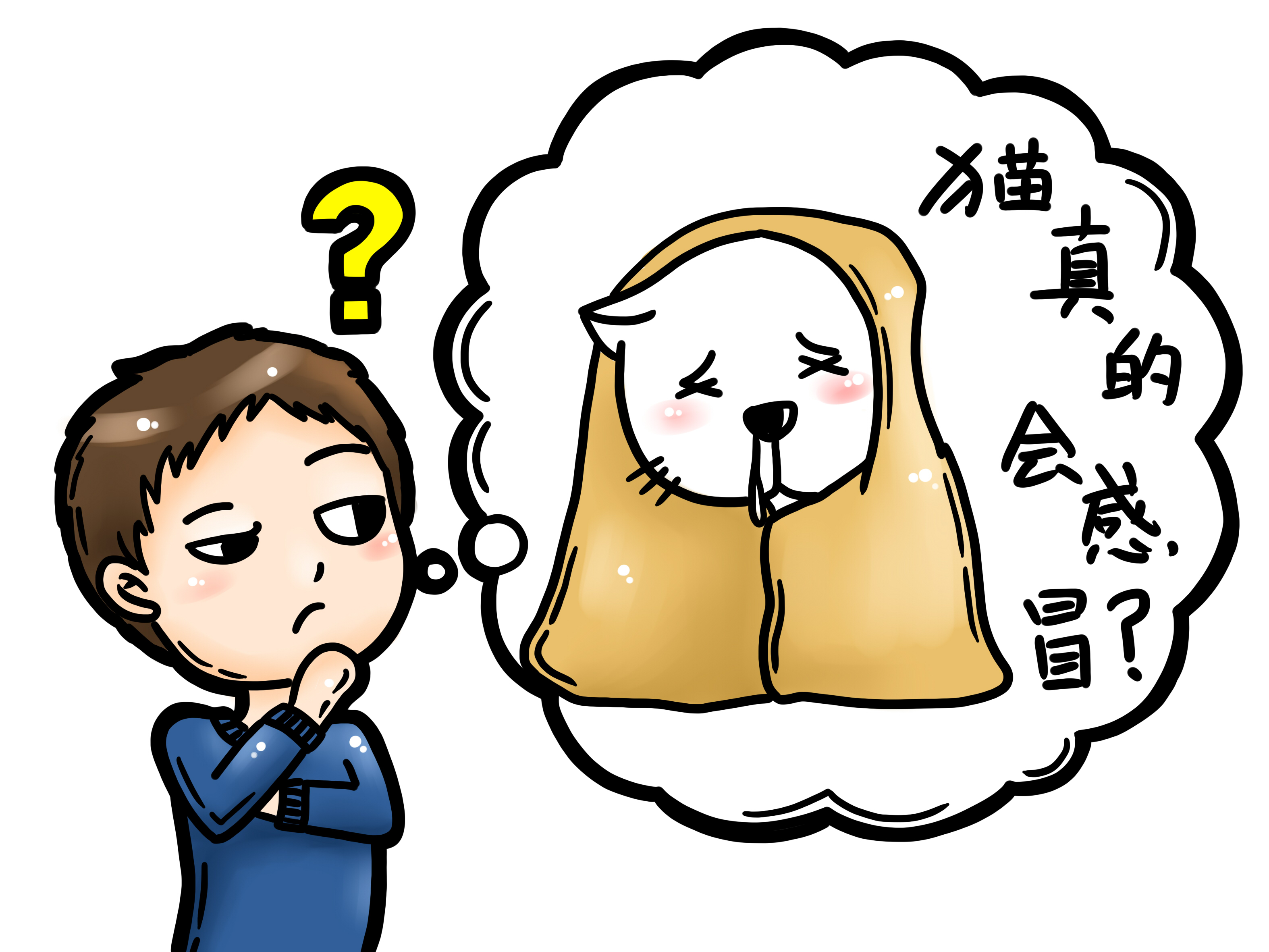 猫咪冬天冷用什么取暖,猫咪感冒了怎么给猫咪保暖