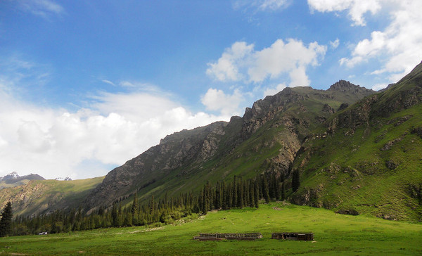 六月底的伊犁雪山,5月的伊犁草原