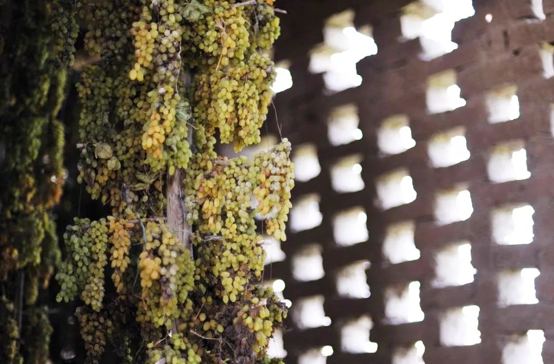 在*疆新**，谁才是“果界一哥”？