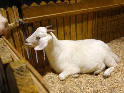 适合90后的创业项目,适合90后创业的项目小生意