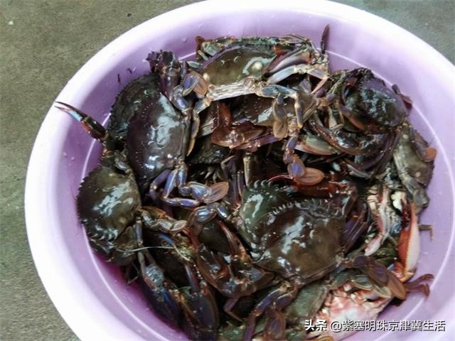 八月别来这座小岛，海鲜吃饱，大海景美唐山月坨岛009号别墅农家