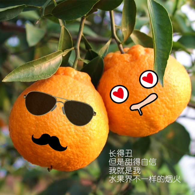 别看它难看，一口就恋爱！够甜够丑够个性的不知火丑柑