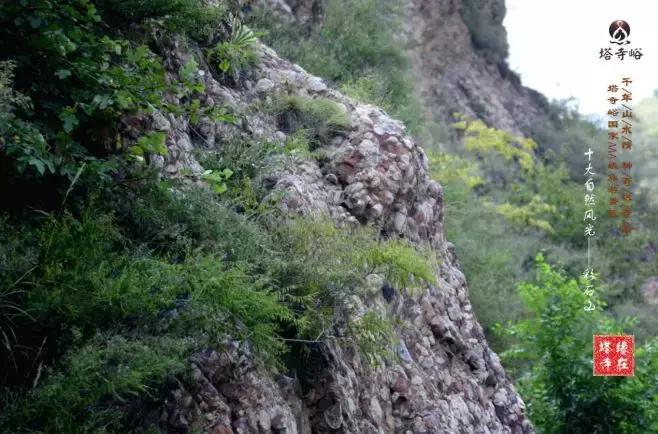 成山头始皇东巡演出时间,秦皇东巡演出