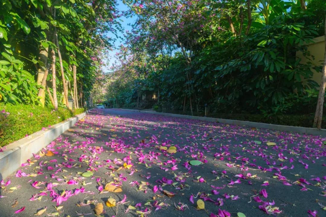 三亚轻奢度假酒店,三亚十大最豪华的度假别墅