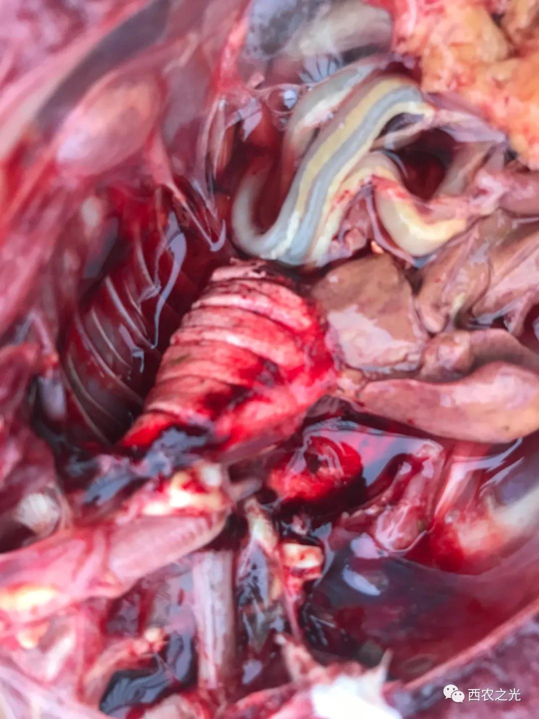 一周表现反馈表,一周典型经典案例分析