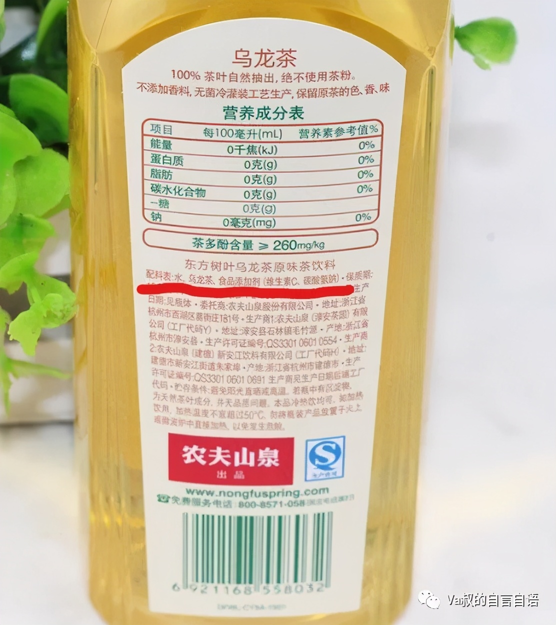 无糖乌龙茶饮料大瓶装,银鹭无糖乌龙茶瓶装