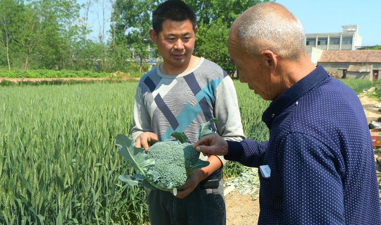 马云预言农村未来三个行业最赚钱,马云谈未来农村赚钱的机会