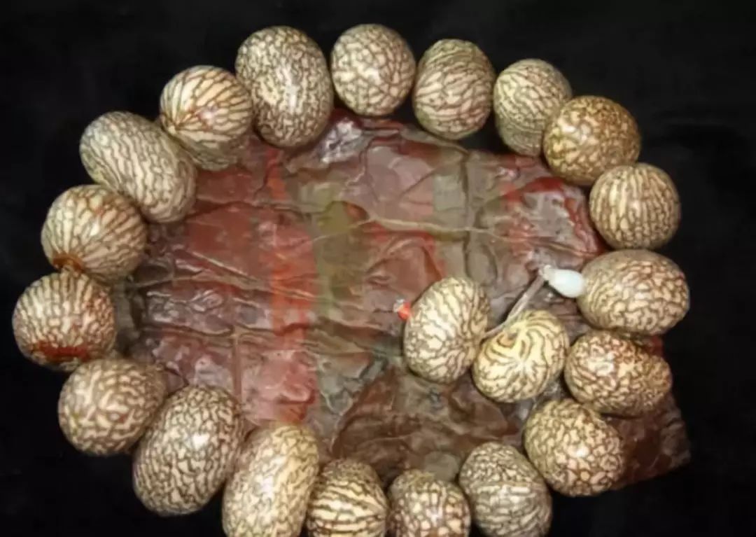 菩提手串大全图解,菩提手串的种类图解