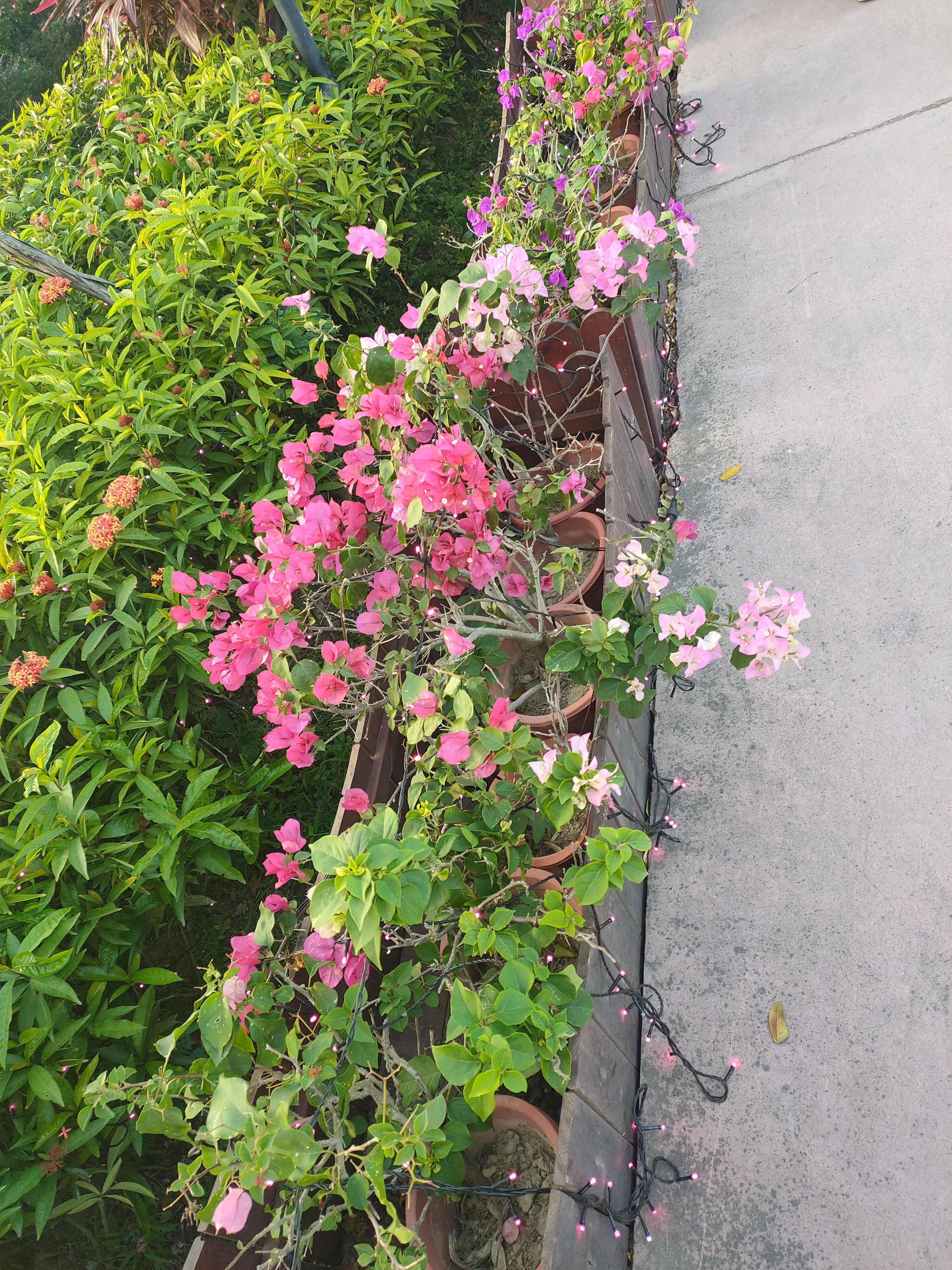 新大洲本田190r换后刹车总成,新大洲本田190r进藏可以吗