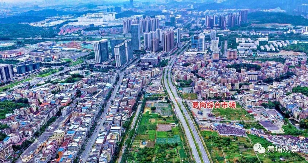 广州市萝岗农贸批发综合市场,广州黄埔区萝岗农贸市场