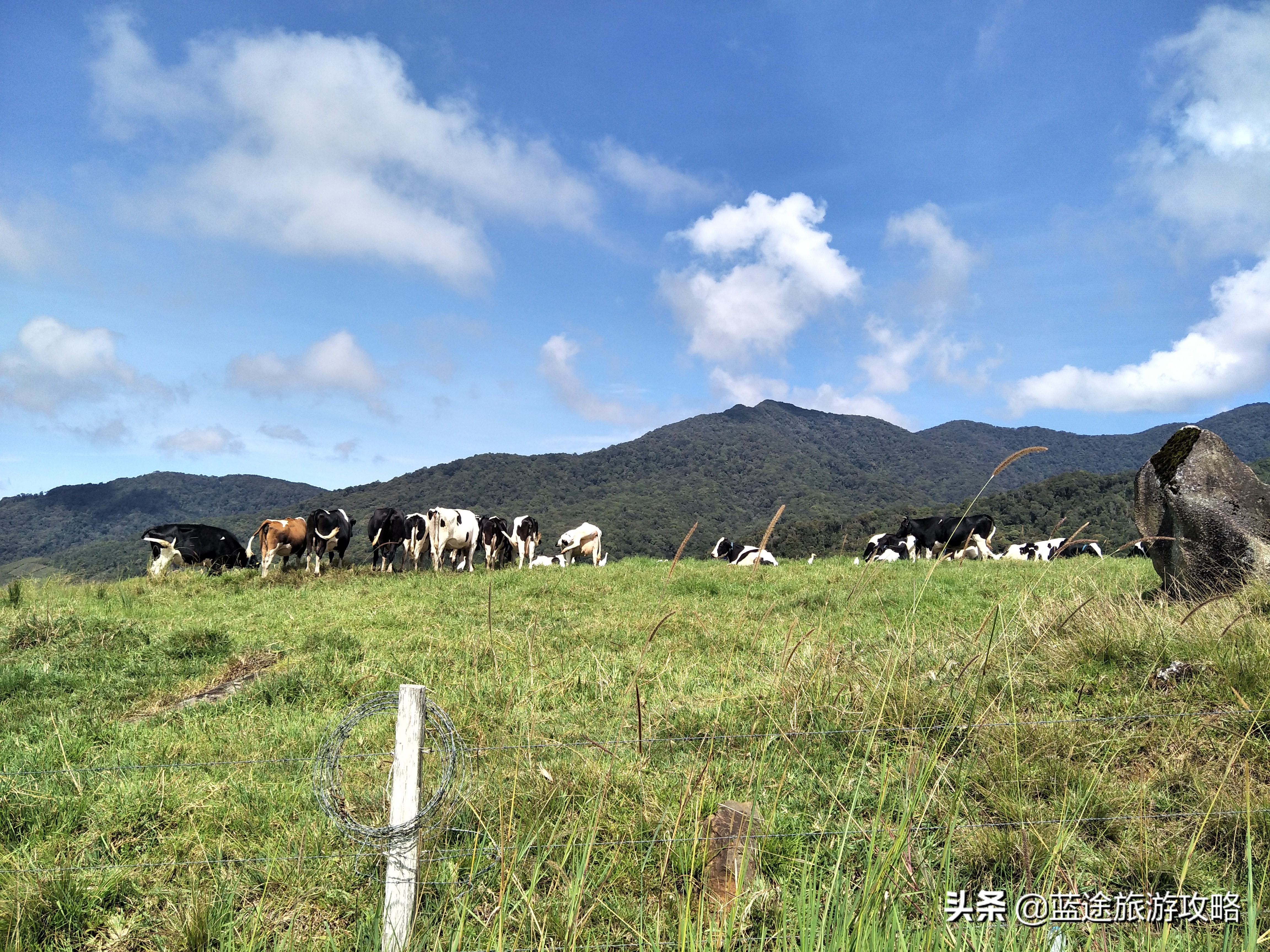 沙巴旅游跟团攻略 (去沙巴必懂的几大攻略)