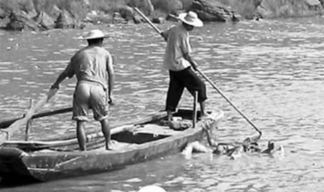 水鬼工作哪里可以做,水鬼一般工资是多少