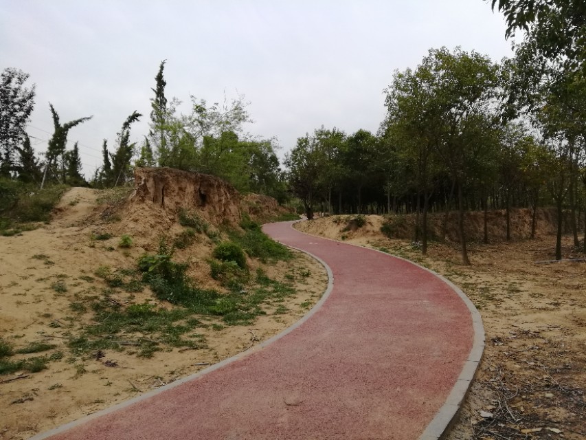 郑州树木园最新视频,郑州树木园现状