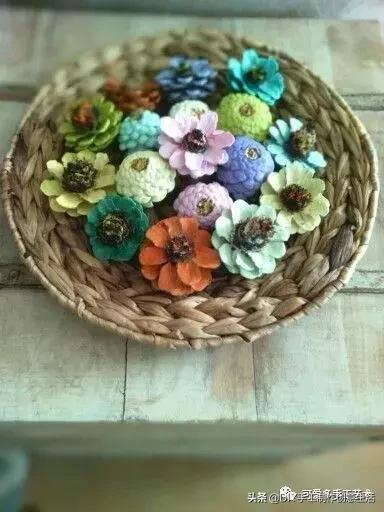 坚果壳吃完不要扔垃圾桶,坚果果壳做手工