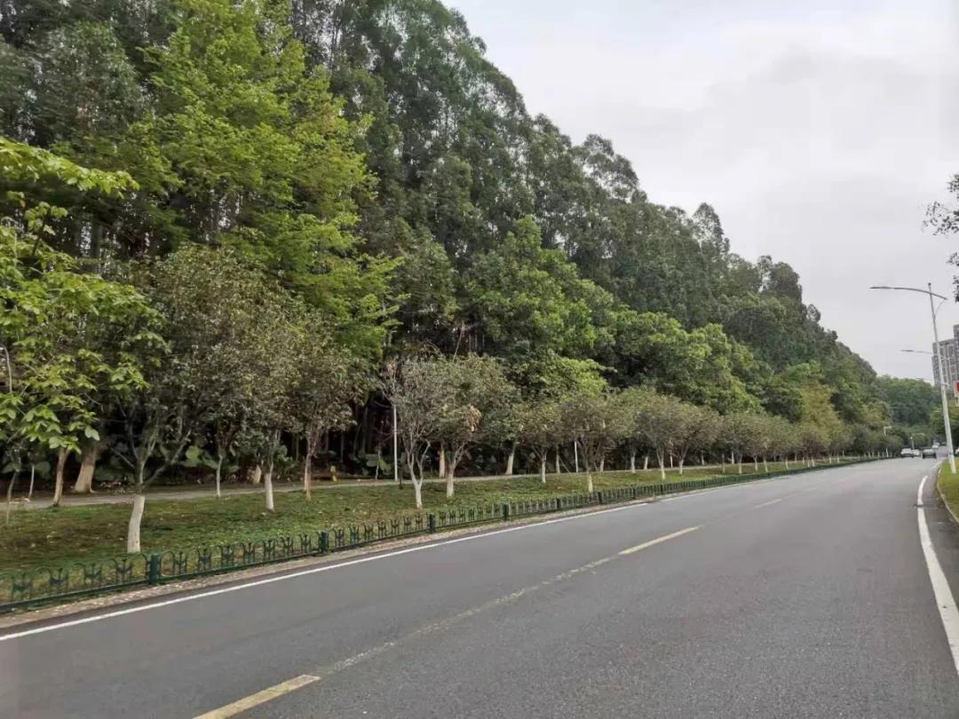 华为对东莞房价影响,华为东莞总部松山湖房价