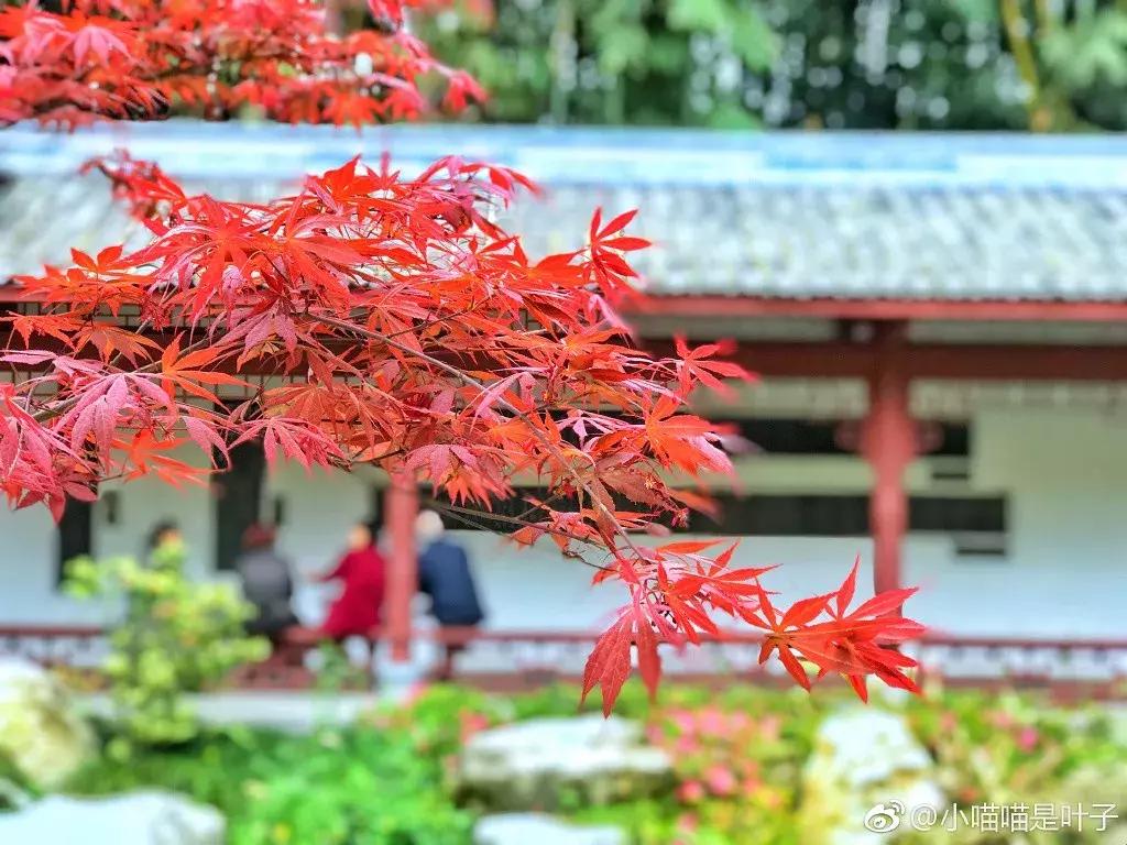 成都冷门旅游景点推荐,最新最全成都75个免费景点