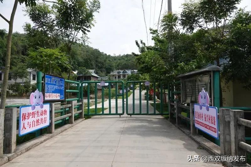 浜鸿薄鍜岃皭鍏卞,浜烘槸鎬庢牱涓庤嚜鐒跺拰璋愮浉澶勭殑浜嬩緥