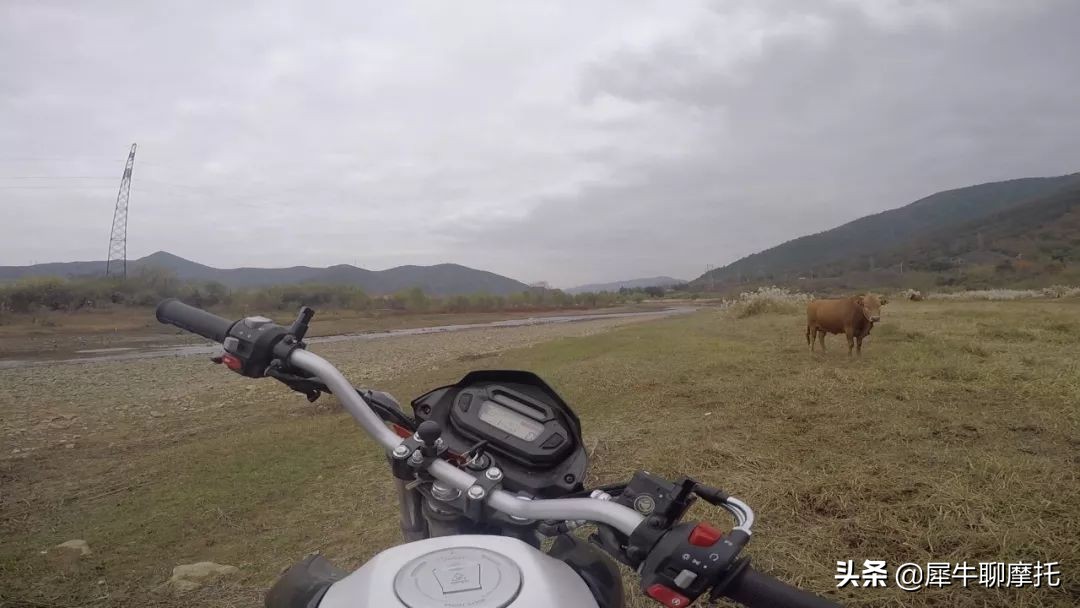 17款nk150极速,1万左右的nk150