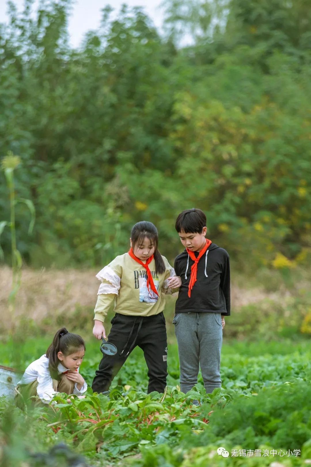 翻地、播种…无锡老小将课堂搬到了田间地头