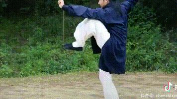 弘扬中国武术散打,弘扬中华武术的道长