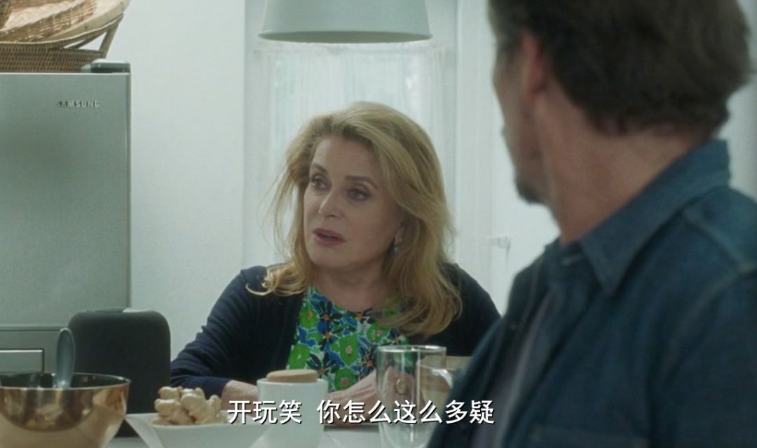 法国十大顶级女神,法国最美的女人超模