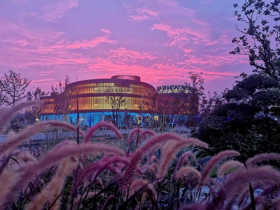 奉贤南桥区发展怎么样,奉贤南桥老城区以后有发展吗