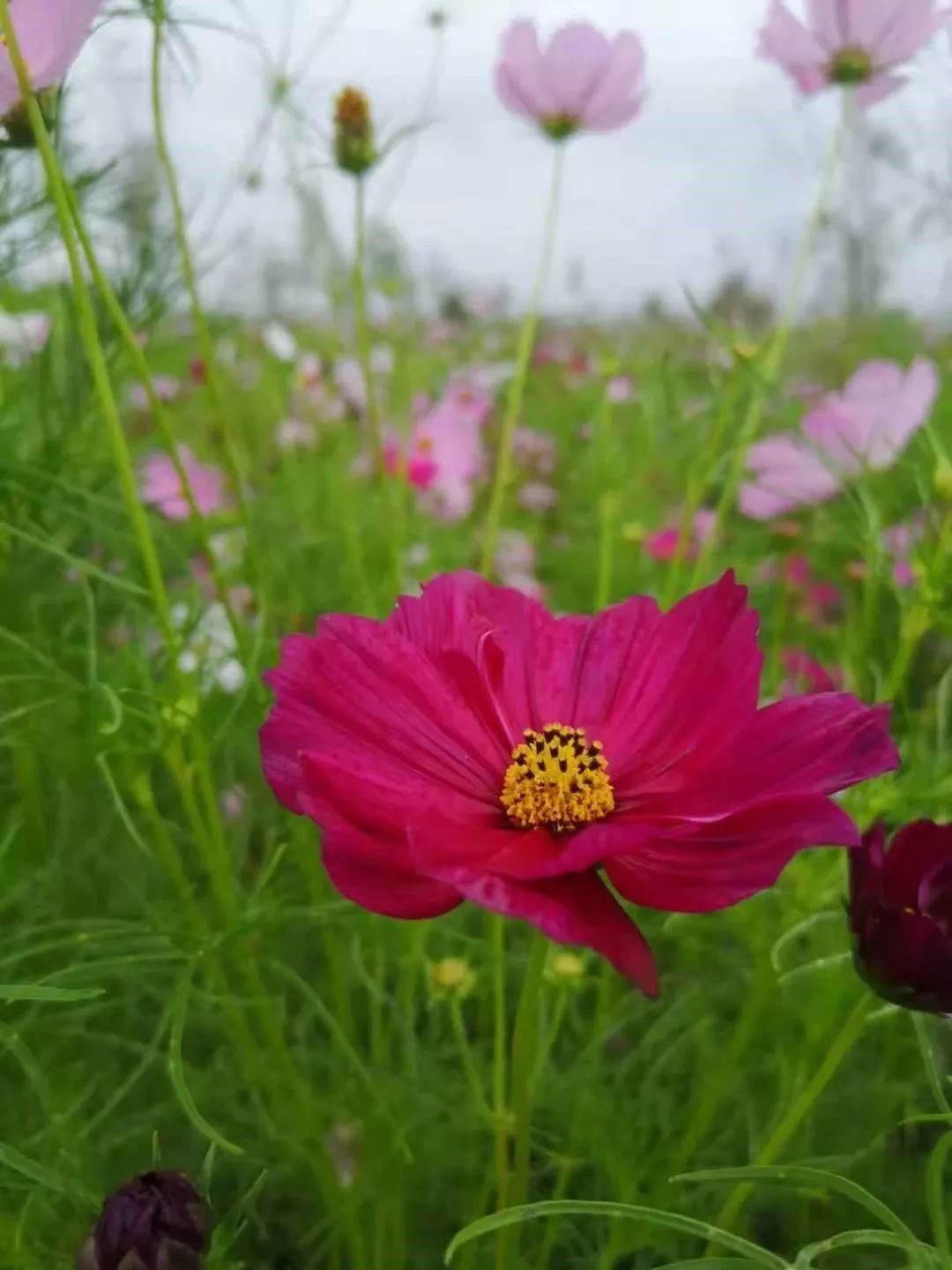 萧红故居边的补鞋店,居然藏着“人生真相”……