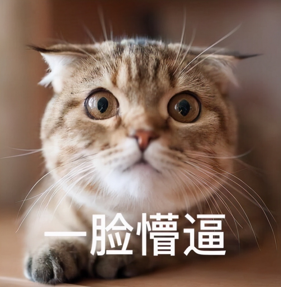 不同类型的肖战,不同的青春肖战