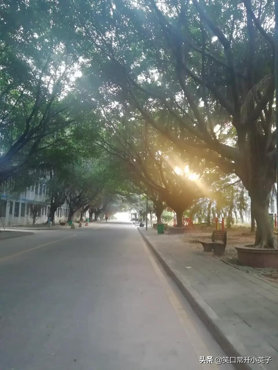 工作了十年的深圳福群集团我就要离开了，讲不出的再见