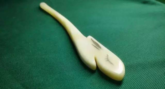 吃剩的骨头别再扔了,吃剩的牛骨头怎么办