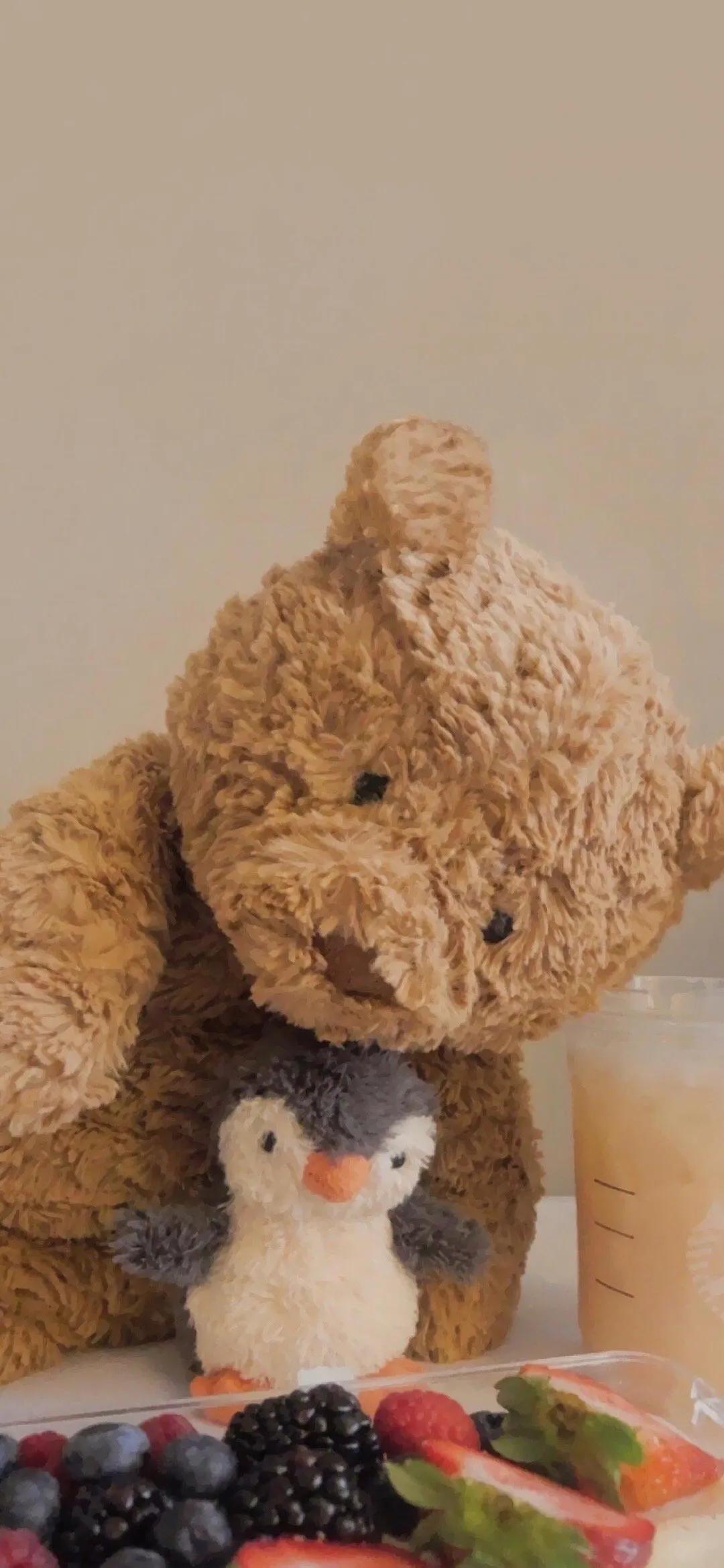 巴塞罗那熊4k壁纸,巴塞罗那熊高清手机壁纸